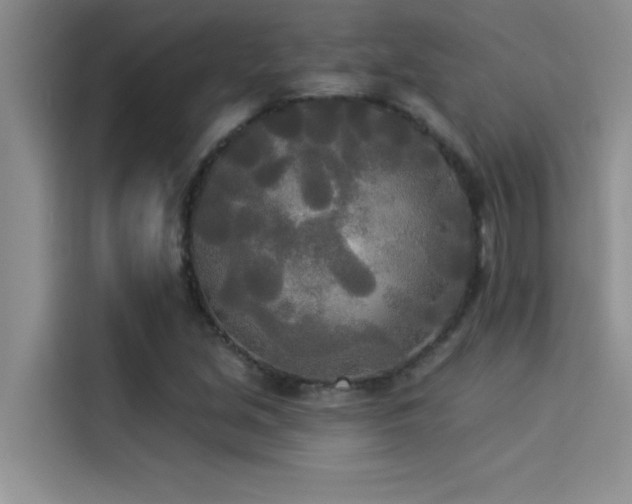 X0000114551213200910191404