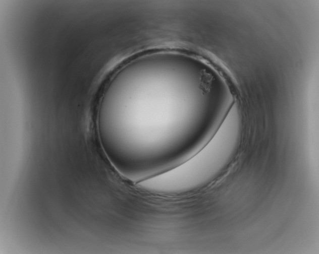X0000114551215200910191404