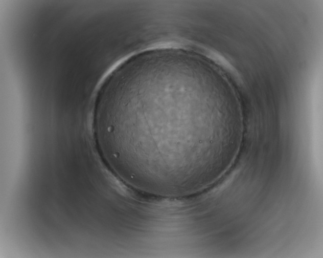 X0000114551216200910191404