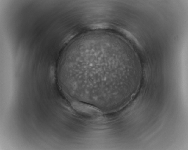 X0000114551217200910191404