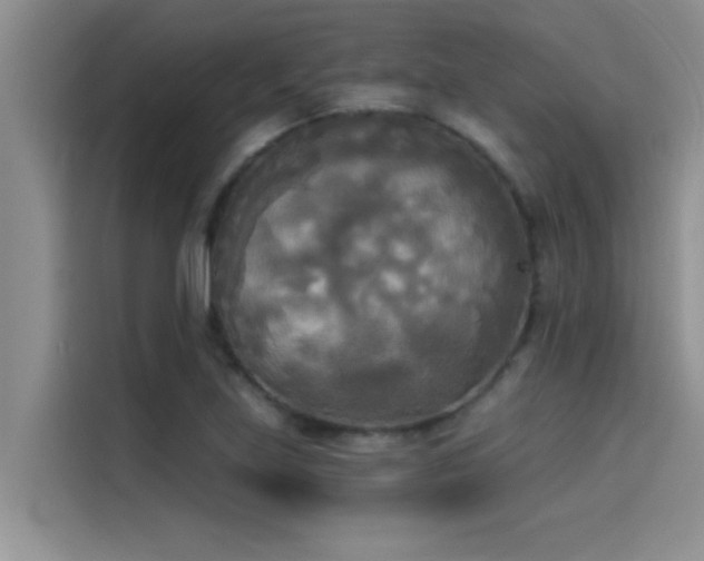 X0000114551219200910191404