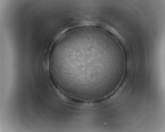 X0000114551220200910191404
