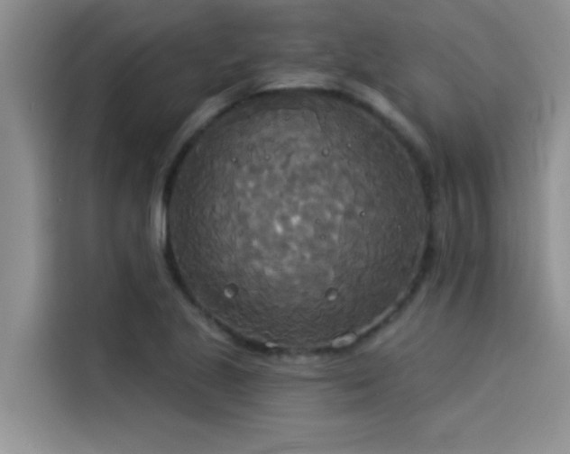 X0000114551221200910191404