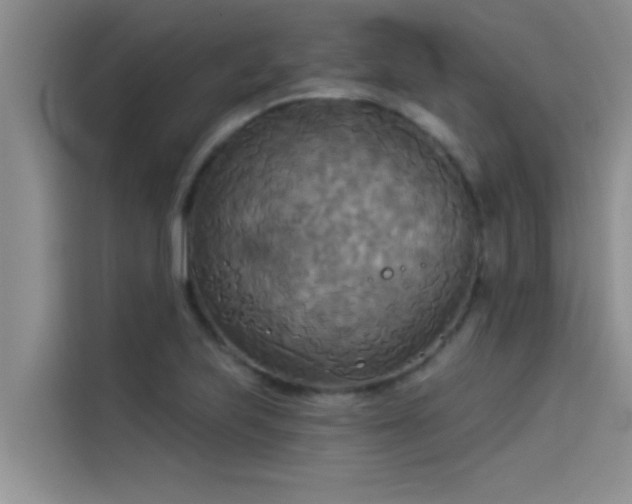 X0000114551223200910191404