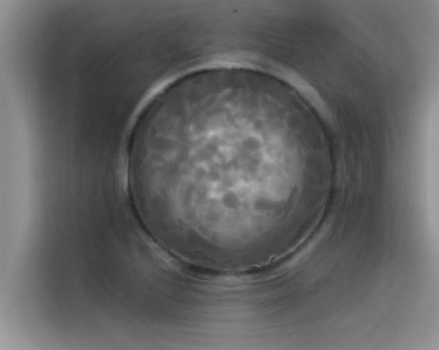 X0000114551224200910191404