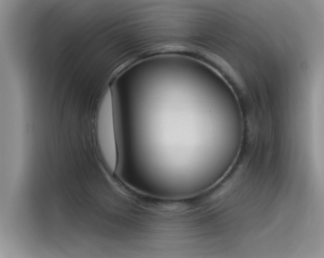 X0000114551225200910191404