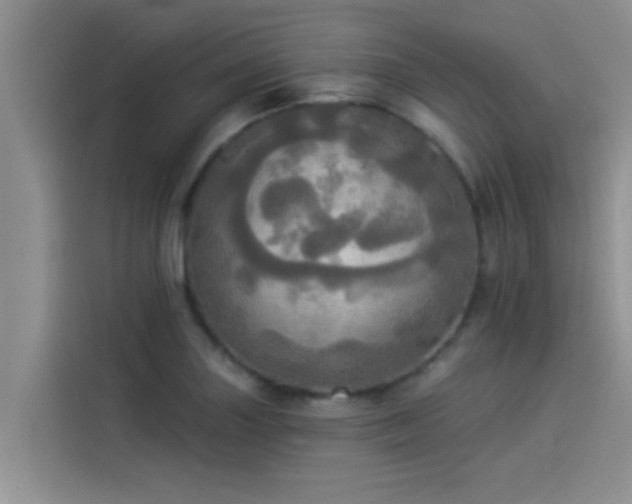 X0000114551227200910191404