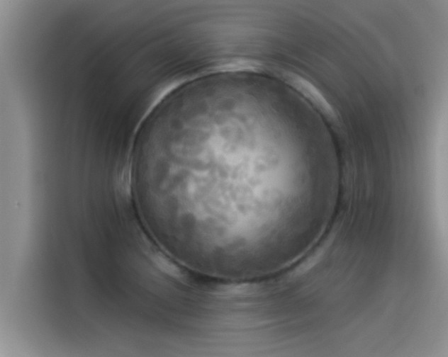 X0000114551228200910191404