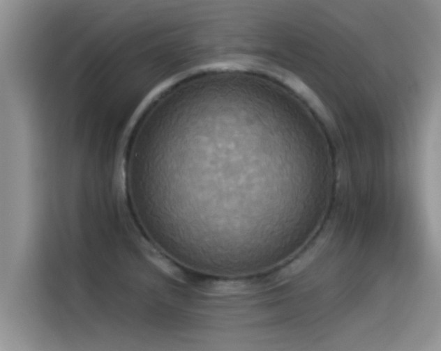 X0000114551232200910191405