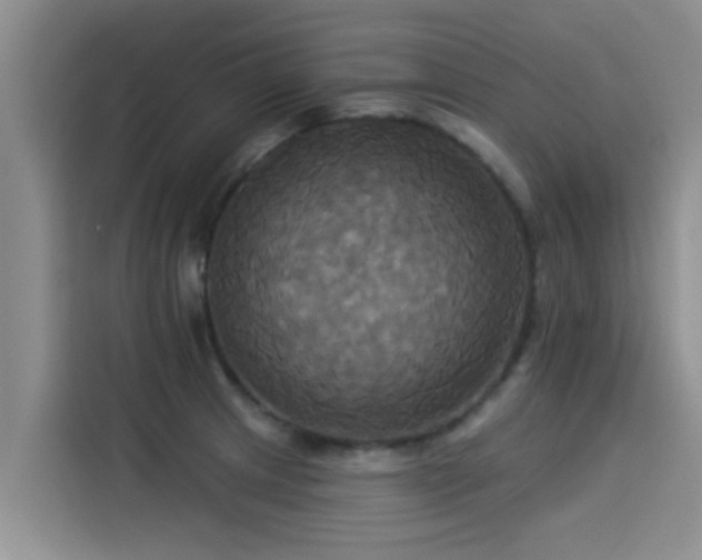 X0000114551233200910191405