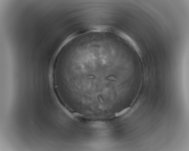 X0000114551235200910191405