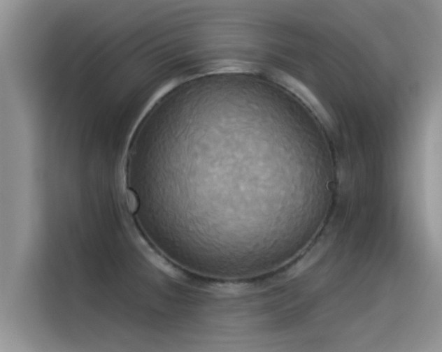 X0000114551236200910191405
