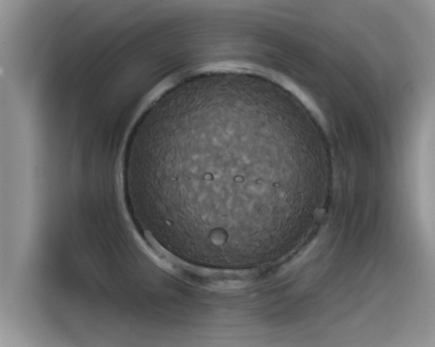 X0000114551237200910191405