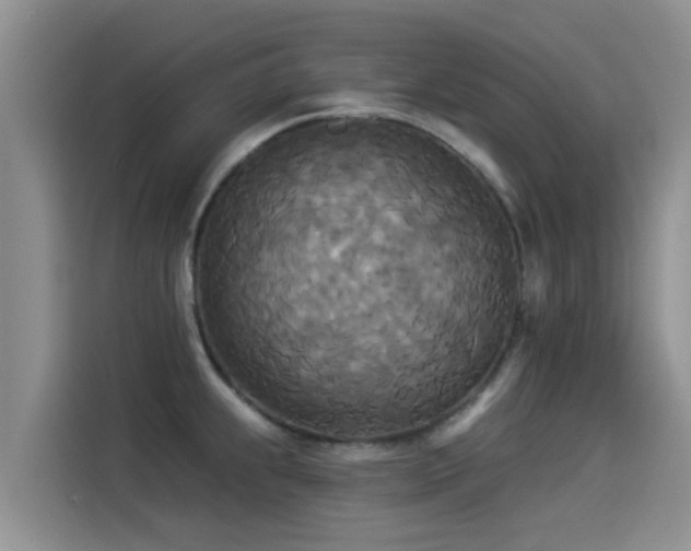 X0000114551239200910191405