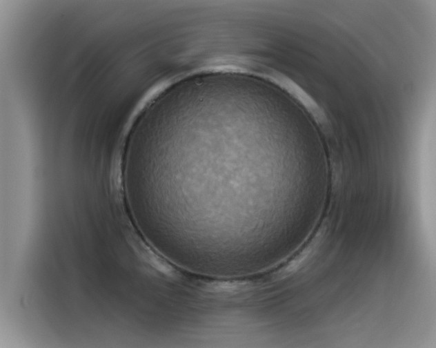 X0000114551240200910191405