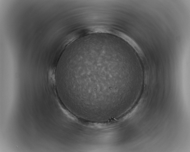 X0000114551241200910191405
