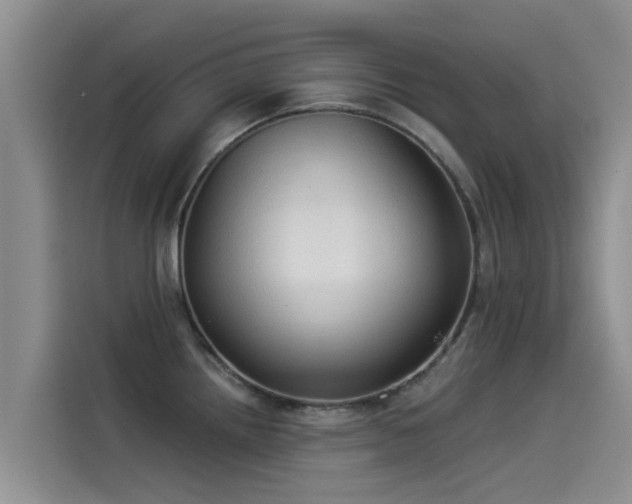 X0000114551242200910191405