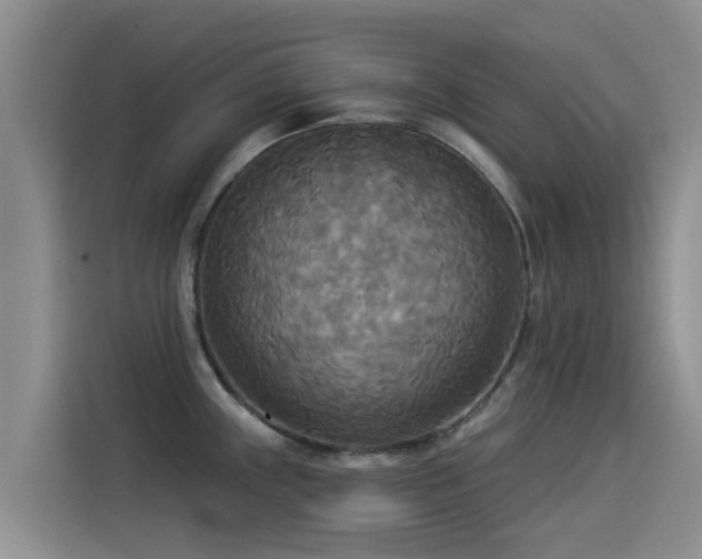 X0000114551243200910191405