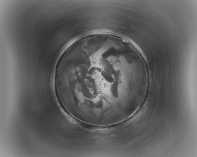 X0000114551245200910191405