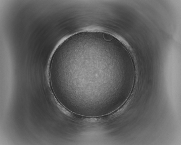 X0000114551248200910191405