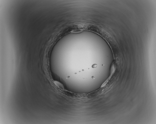 X0000114551249200910191404
