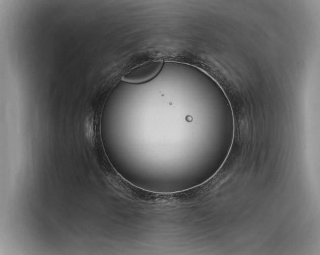 X0000114551250200910191404