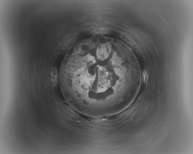 X0000114551251200910191404