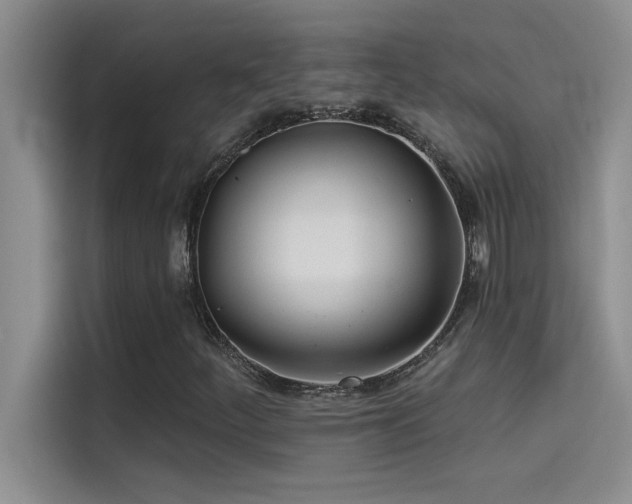 X0000114551252200910191404