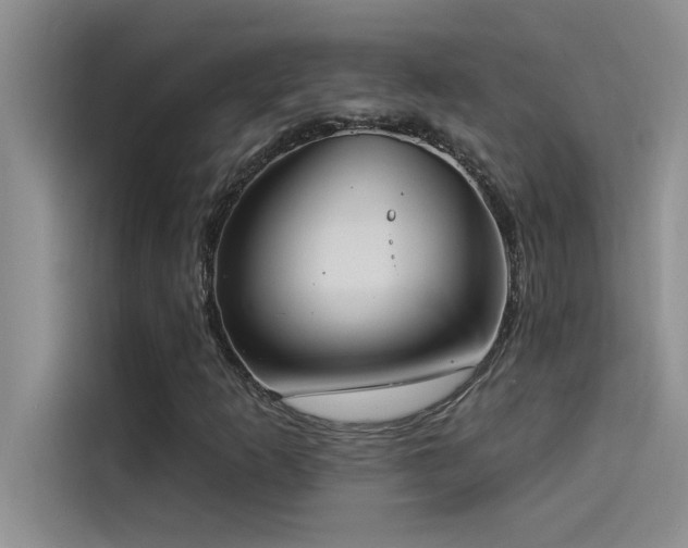 X0000114551253200910191404