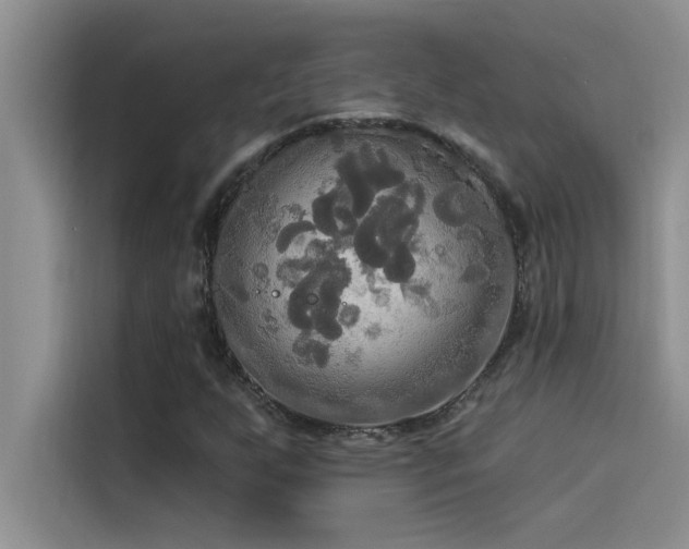 X0000114551255200910191404