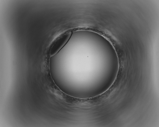 X0000114551256200910191404