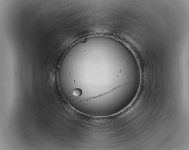 X0000114551257200910191404
