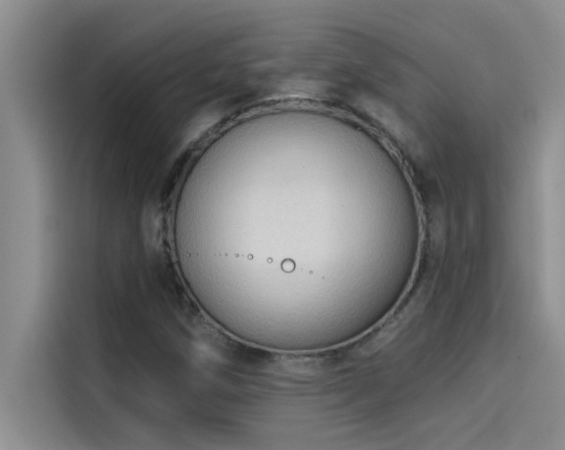 X0000114551258200910191404