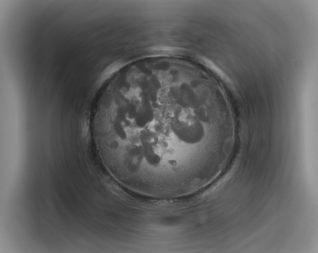 X0000114551259200910191404
