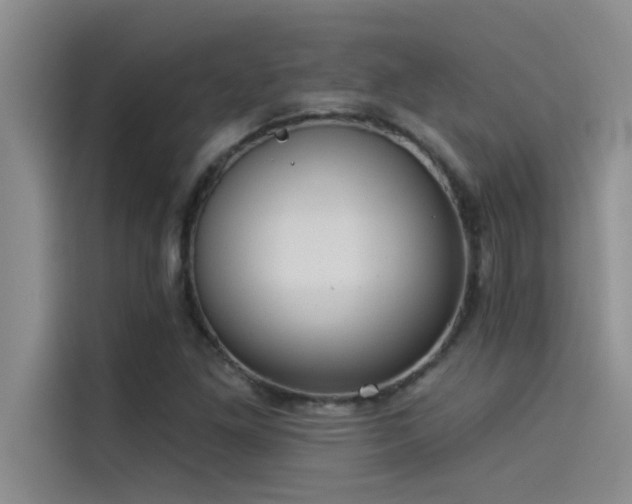 X0000114551261200910191404