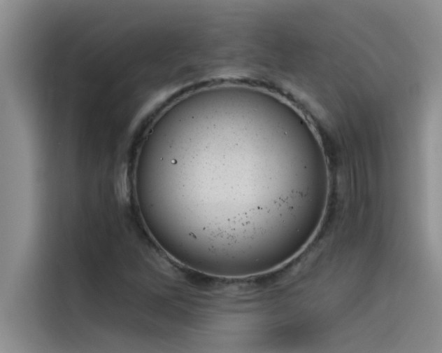 X0000114551262200910191404