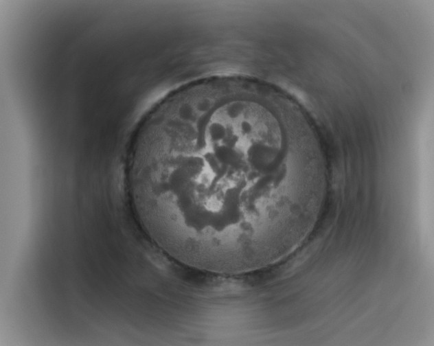 X0000114551263200910191404