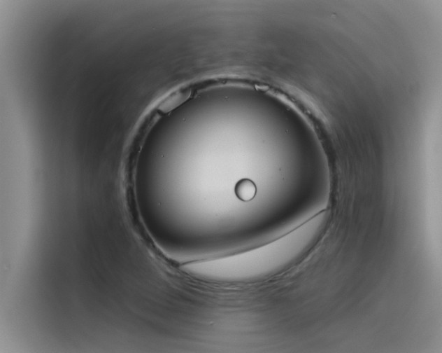 X0000114551264200910191404