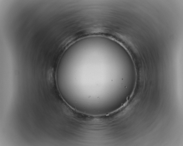 X0000114551265200910191404