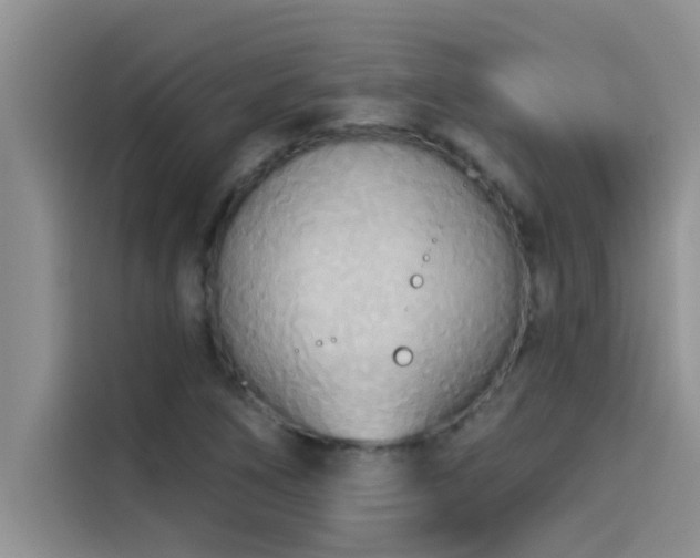 X0000114551266200910191404