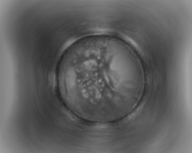 X0000114551267200910191404