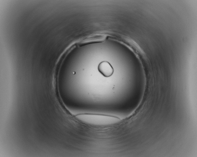 X0000114551268200910191404