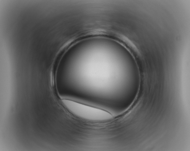 X0000114551269200910191404