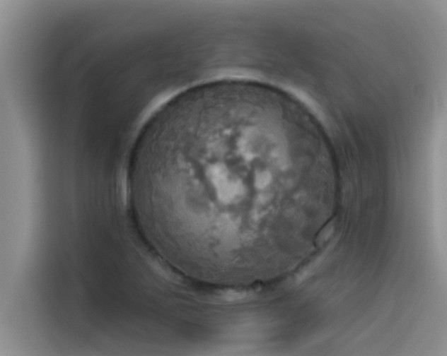 X0000114551271200910191404