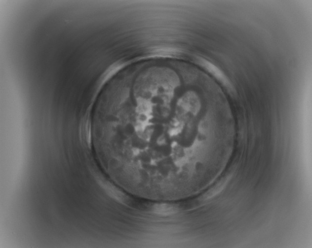 X0000114551275200910191404