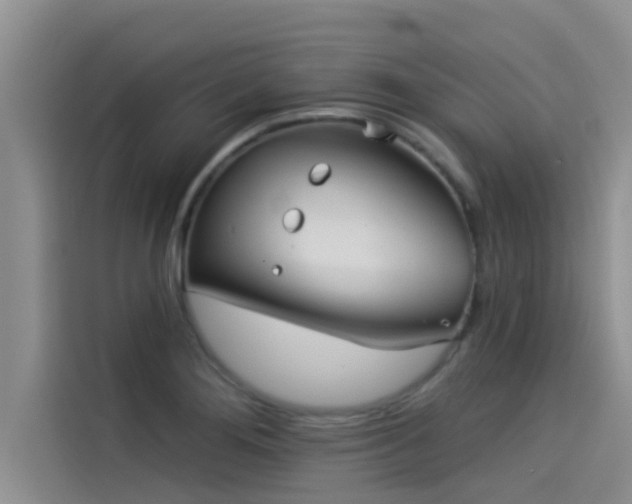 X0000114551276200910191404
