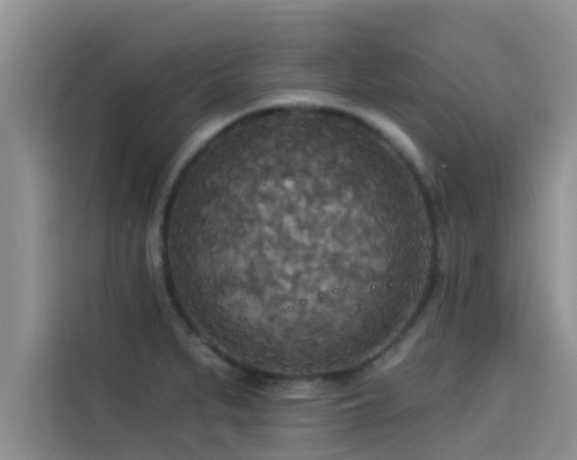 X0000114551279200910191404