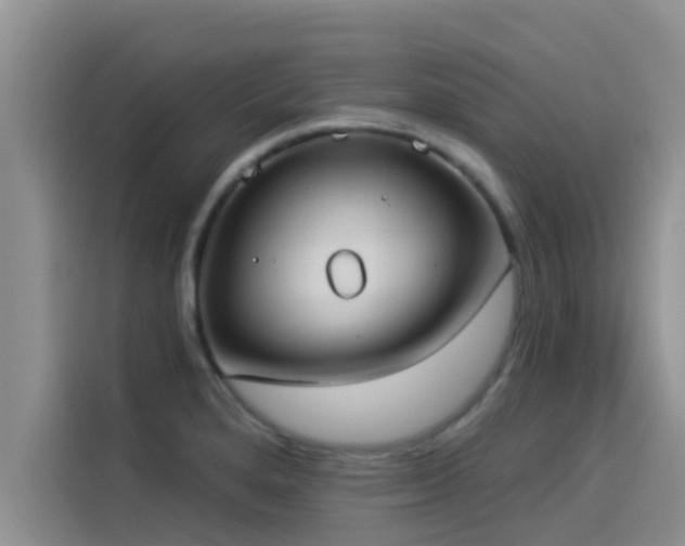 X0000114551280200910191404