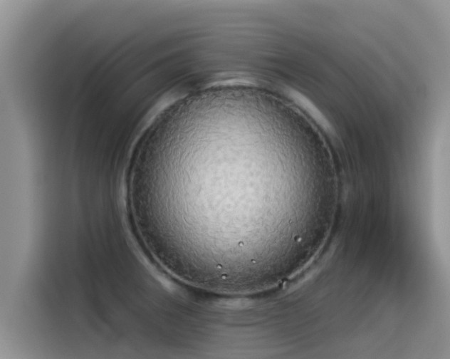 X0000114551282200910191404