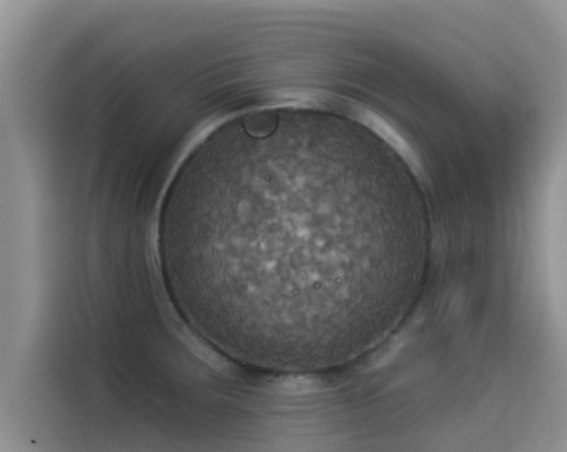 X0000114551283200910191404